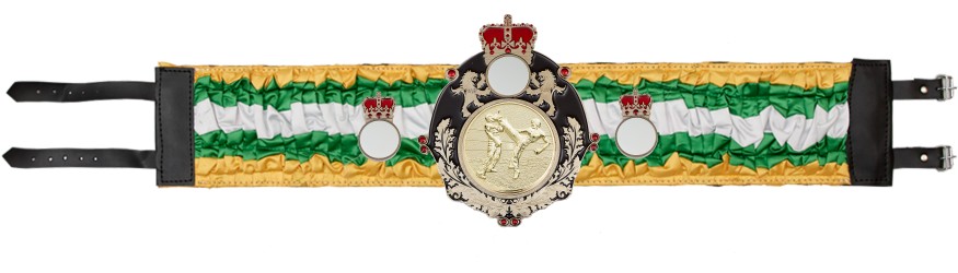 QUEENSBURY KICKBOXING SILK CHAMPIONSHIP BELT - QUEEN/B/KBOG/SILK - AVAILABLE IN 6 COLOURS